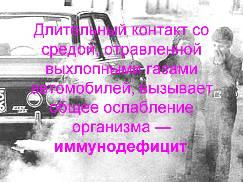 Длительный контакт со средой, отравленной выхлопными газами автомобилей, вызывает общее ослабление организма — иммунодефицит.